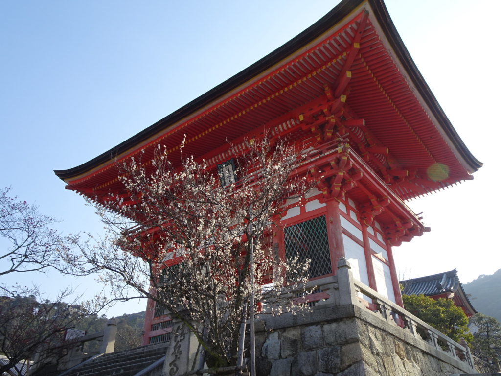 梅の香りに誘われて ひとり静かに おさんぽ 京都 清水寺から下鴨神社へ 地域の風 京都