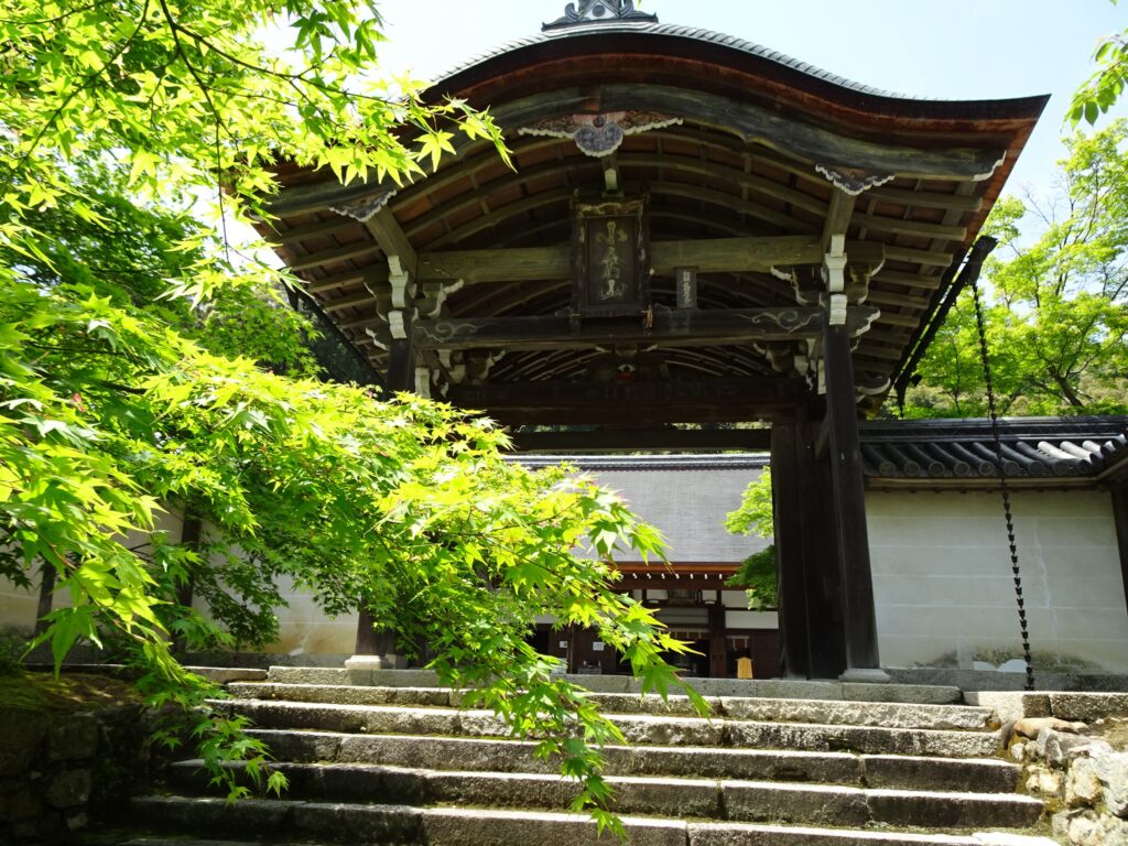 京都・小倉山二尊院、青もみじのトンネル～ひとり静かにお散歩｜地域の風・京都