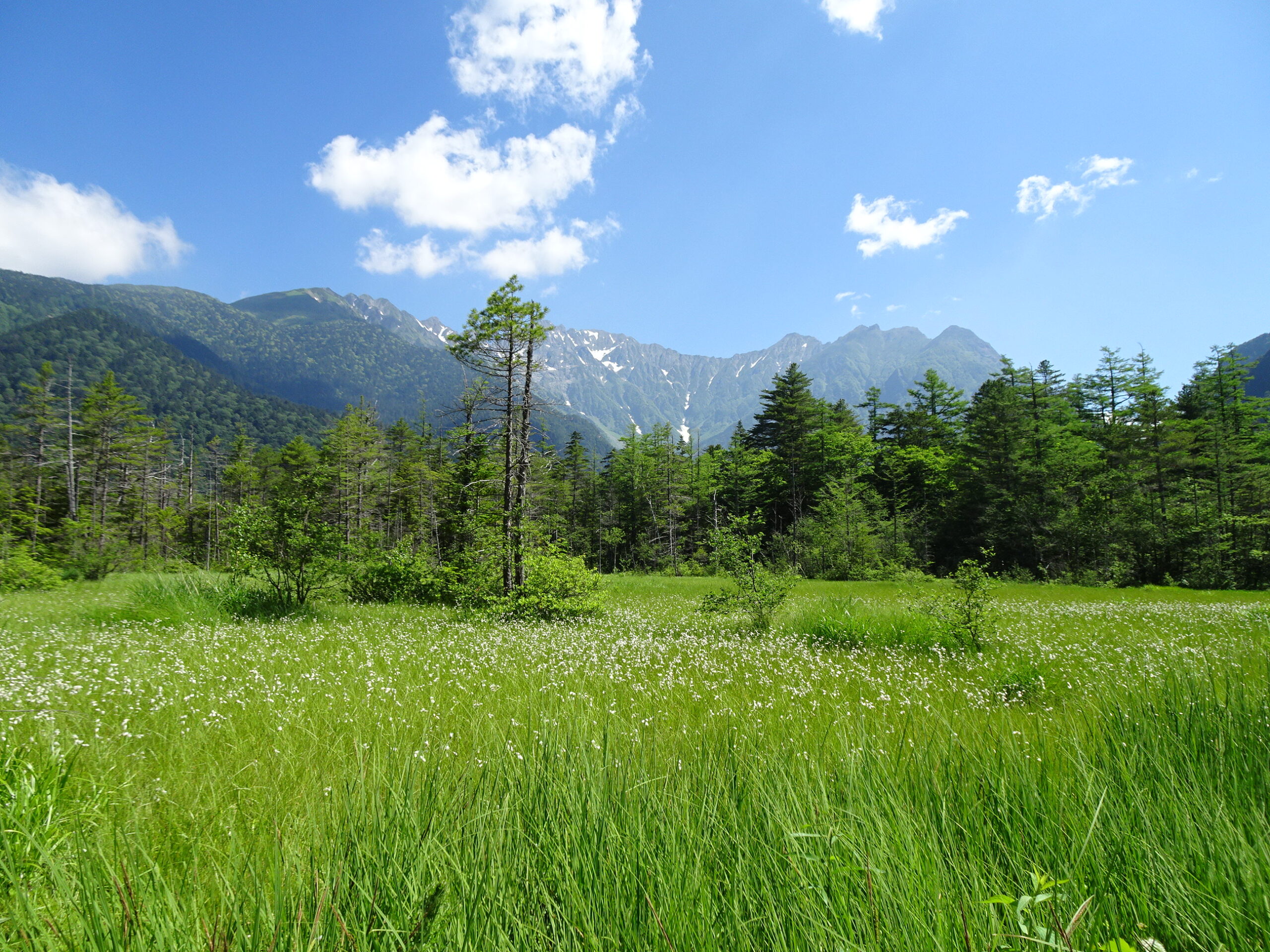 正しい地上げのしかた・進めかた 正しい地上げのしかた・進めかた