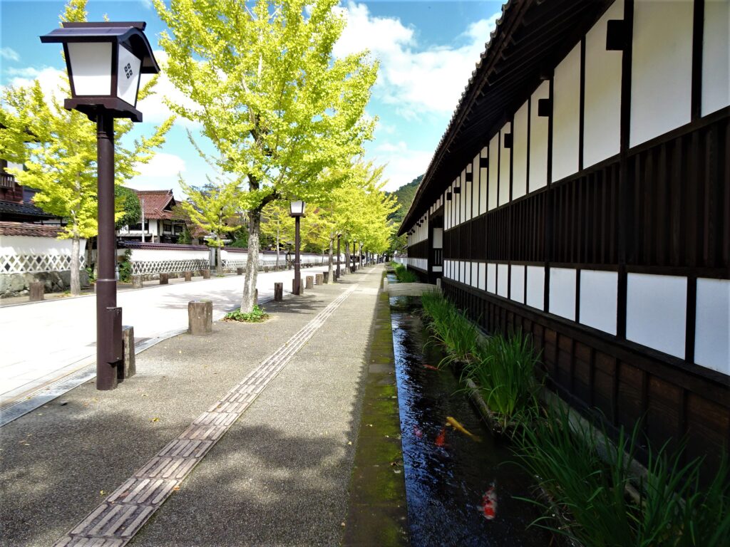 殿町通りと鯉