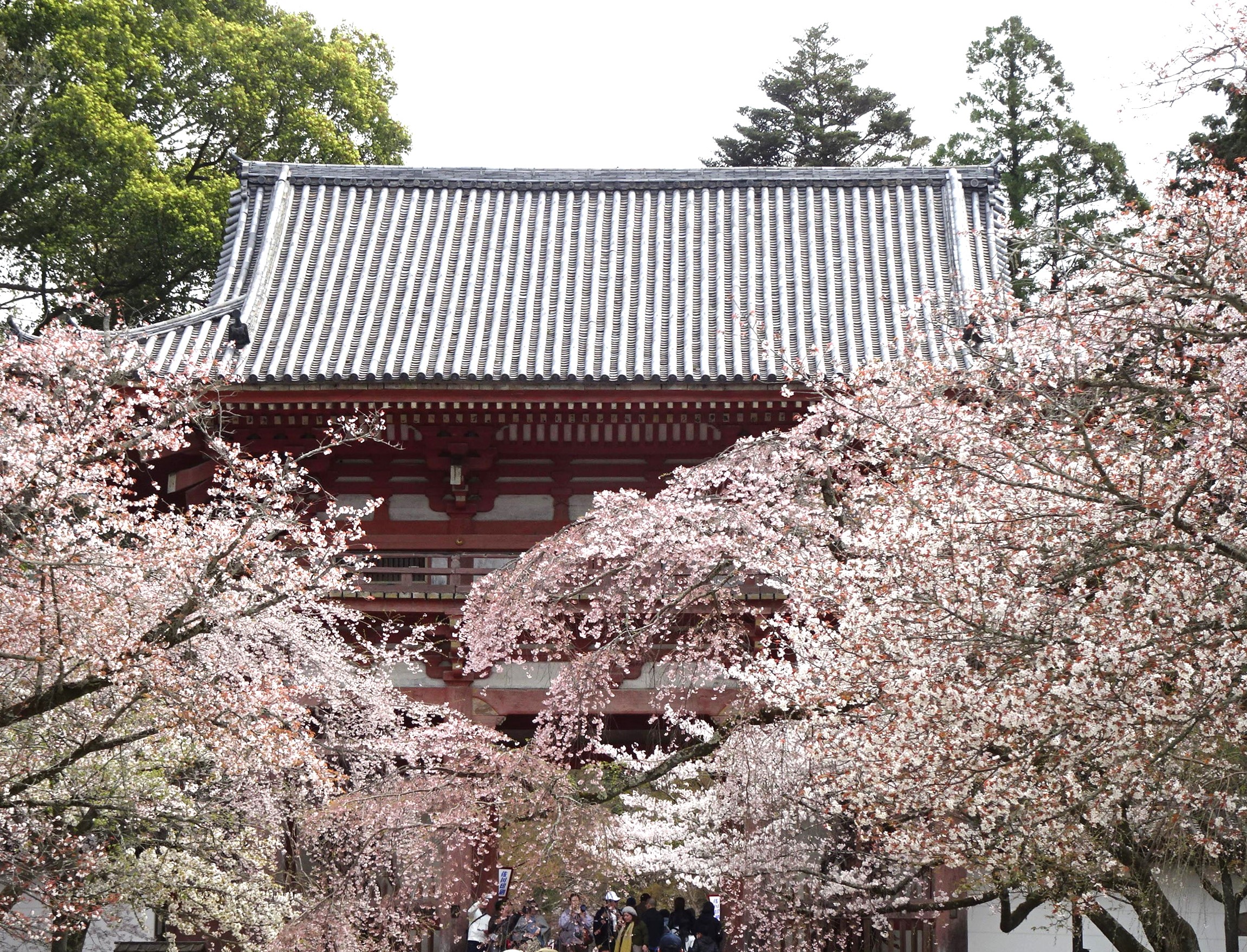 DSC01601-3.jpg