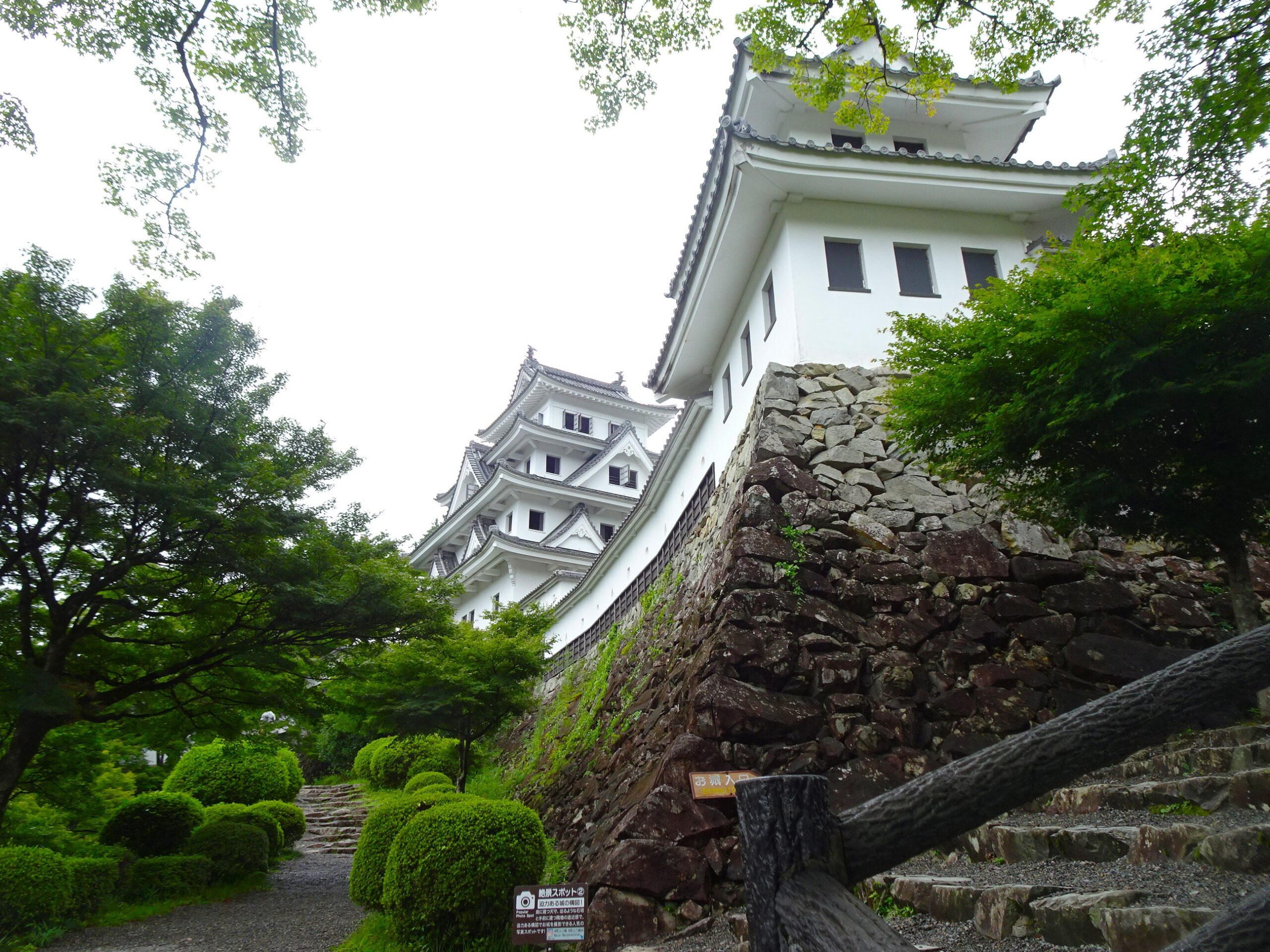 郡上八幡城　　水彩画　　SHO 鮮緑の城 . 緑が鮮やかだった 郡上八幡城の雲海