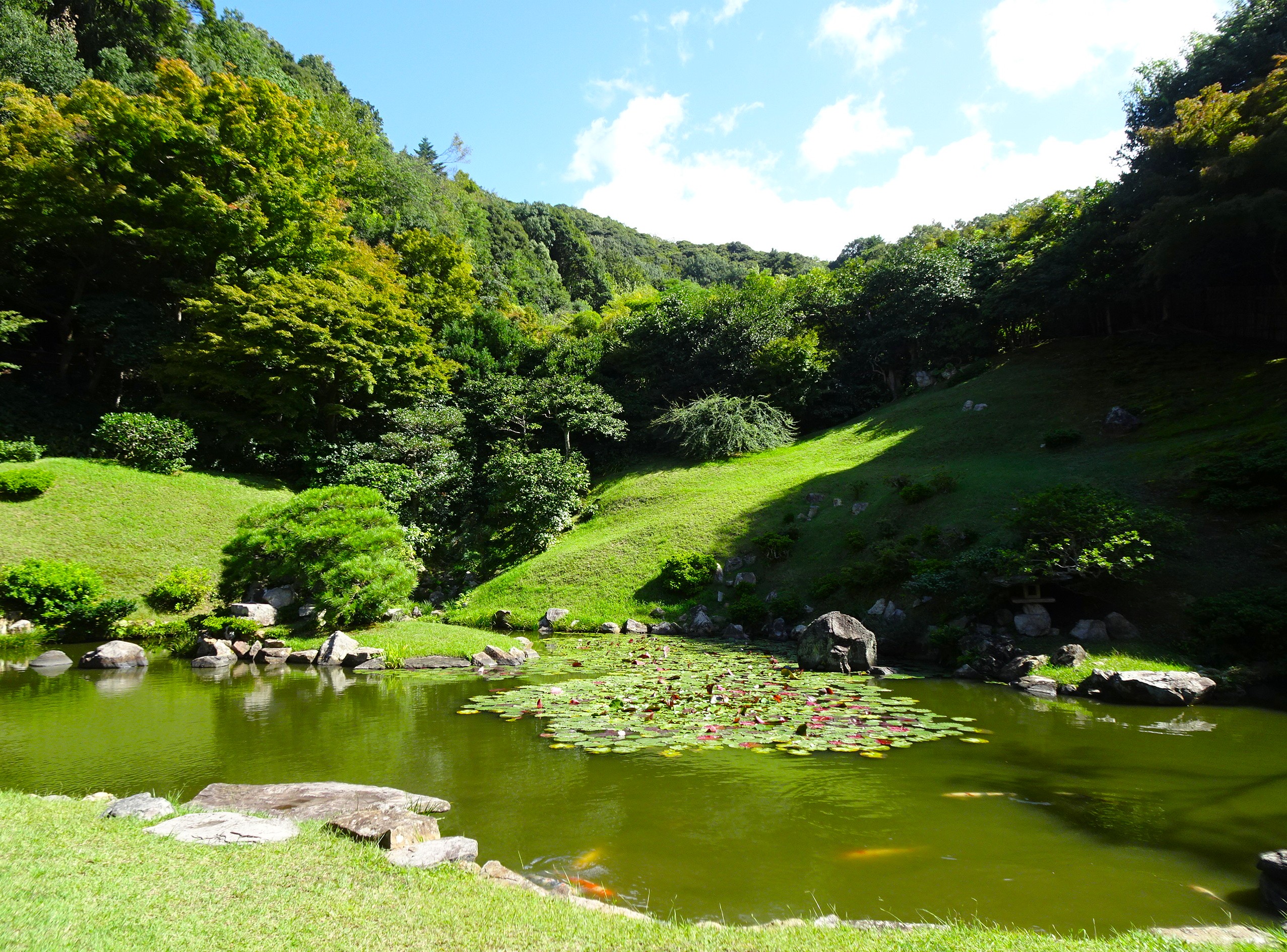 鳥取県・観音院庭園、青空のリベンジ～京女のひとり旅94｜地域の風・京都